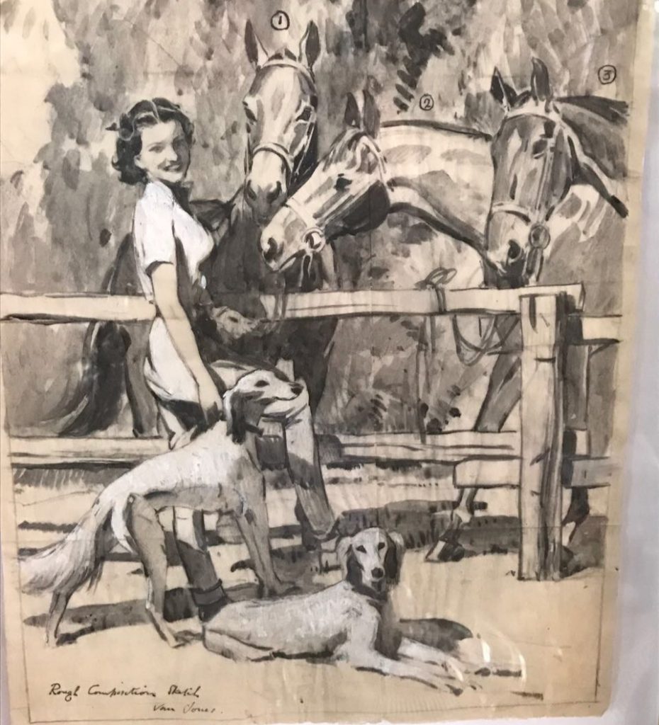 Animal Welfare Support